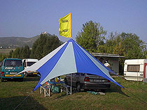 psteek chobotnice